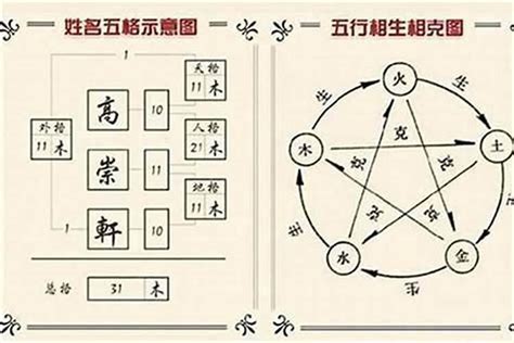 芫名字意思|芫字起名寓意、芫字五行和姓名学含义